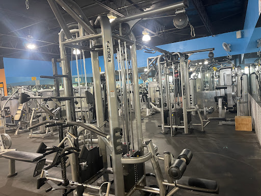 Hammerhead Gym (Cape Coral) - Gym Photo