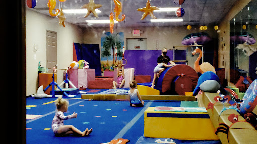 Paulding Gymnastics - Gym Photo