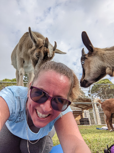 Goat Yoga - Gym Photo