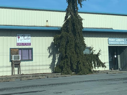 River Run Gymnastics Academy - Gym Photo