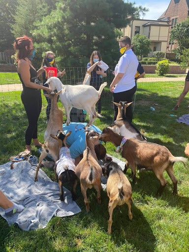 Buttinhead Farms - Goat Yoga - Gym Photo