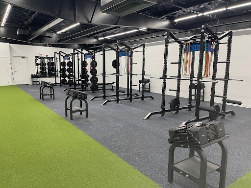 The Athlete Academy, Performance & Fitness - Gym Photo