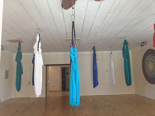 Wild Roots Yoga & Wellness - Gym Photo