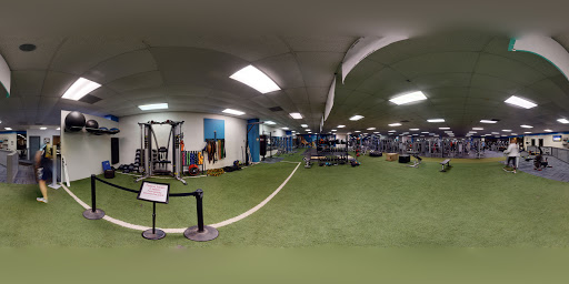 The Shark Gym - Gym Photo