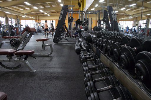 North Haven Health & Racquet - Gym Photo