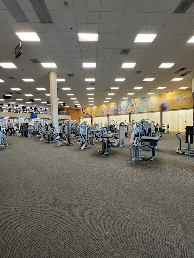 LA Fitness - Gym Photo