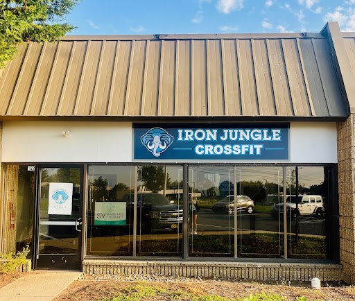 Iron Jungle CrossFit - Gym Photo