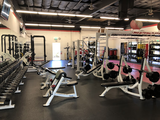 Lifestyle Gym - Gym Photo