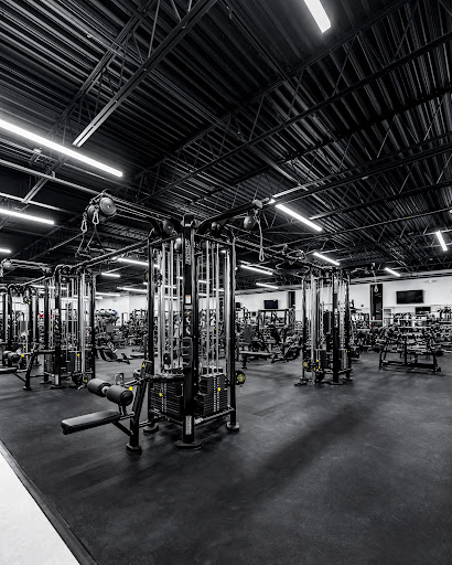 Iron Culture - North Bergen - Gym Photo