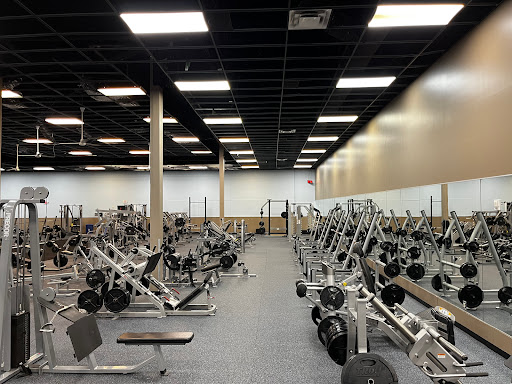 Avalon Athletic Club - Gym Photo