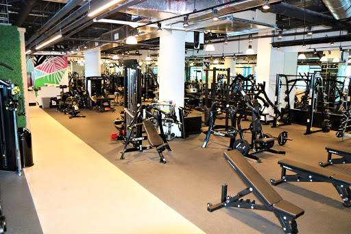 Miami Strong Gym - Gym Photo