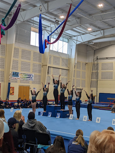 ℅ Alpena Gymnastics - Gym Photo