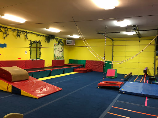 The Jungle Gymnastics Adventure Center - Gym Photo