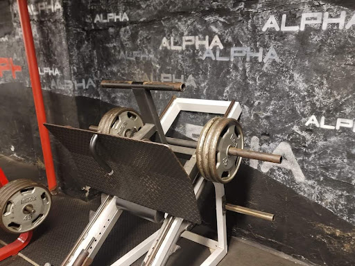 Alpha Fitness - Gym Photo