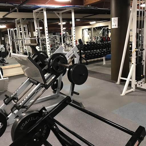 The Basement Gym - Gym Photo