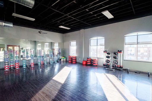 The Fitness Loft Columbus - Gym Photo